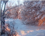Autumn's Winter - Taos, New Mexico